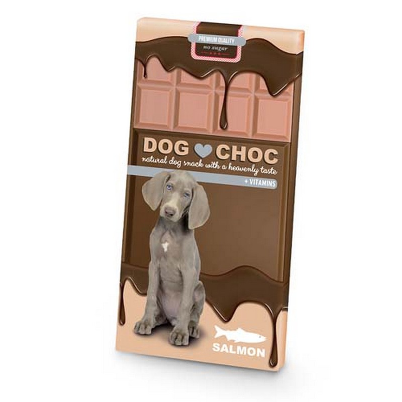 DUVO+ DOG CHOC salmon 100g okolda pre psov