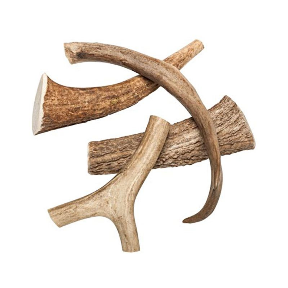 EXPLORER DOG �uvac� jelen� paroh L m�kk�