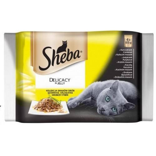 Sheba Delicacy in Jely Hydinov vber 4 x 85 g