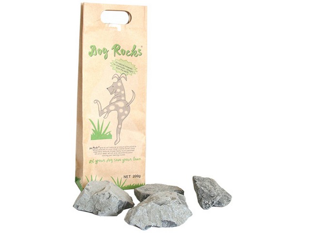 Dog Rocks - 100% prrodn skala