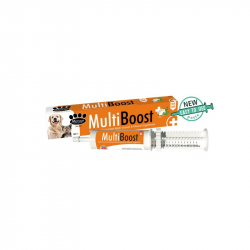 MultiBoost multivitamnov pasta pre psov 60 ml
