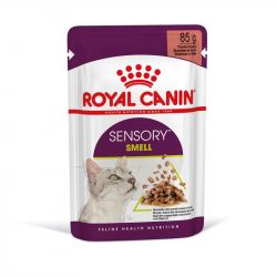 Royal Canin FHN sensory smell gravy 12x85g kapsiky pre maky