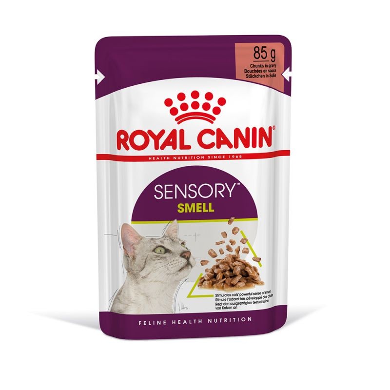 Royal Canin FHN sensory smell gravy 12x85g kapsiky pre maky